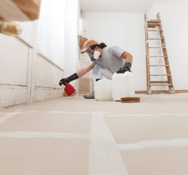 Best Asbestos and Lead Testing During Mold Inspection  in Lake Park, GA